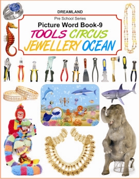 P.s. picture word book - 9